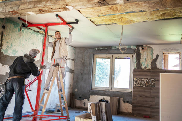 Best Insulation Maintenance and Repair in Ione, CA